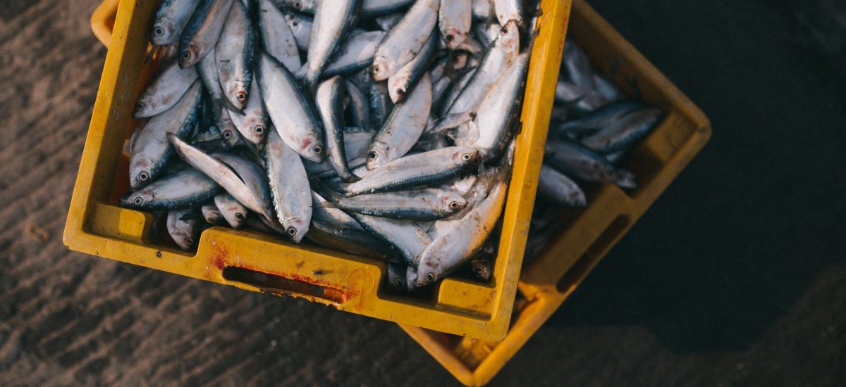 Pescados